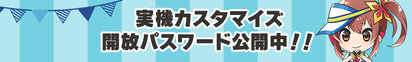 実機カスタマイズ開放パスワード公開中!!