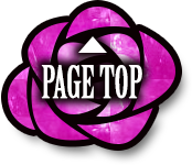 PAGE TOP