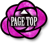 PAGE TOP