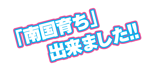 「南国育ち」出来ました!!